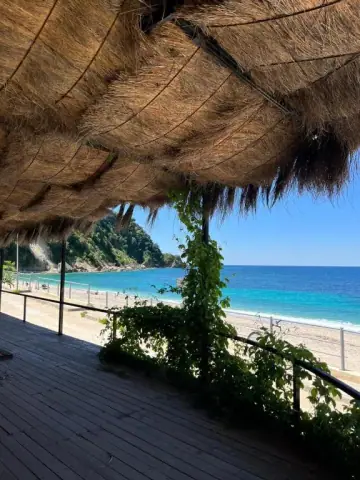 Oasis on the Beach — view 4