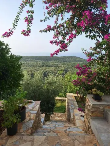 Vila Tatjana — view 4