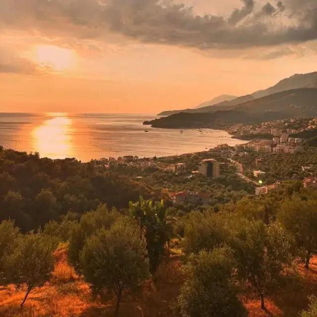 The whole of Himarë Bay seen from the hillside at sunset — the sun low over the water on the left, a wooded headland and the town on the right, an olive grove filling the foreground