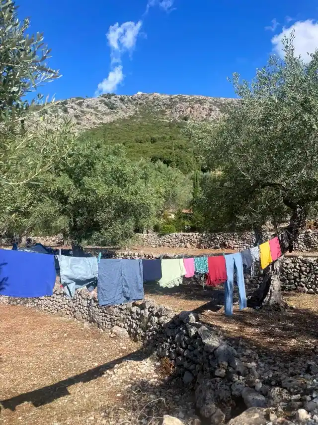 A washing line strung between olive trees over the dry-stone terraces at Camping Himara, the mountain ridge behind
