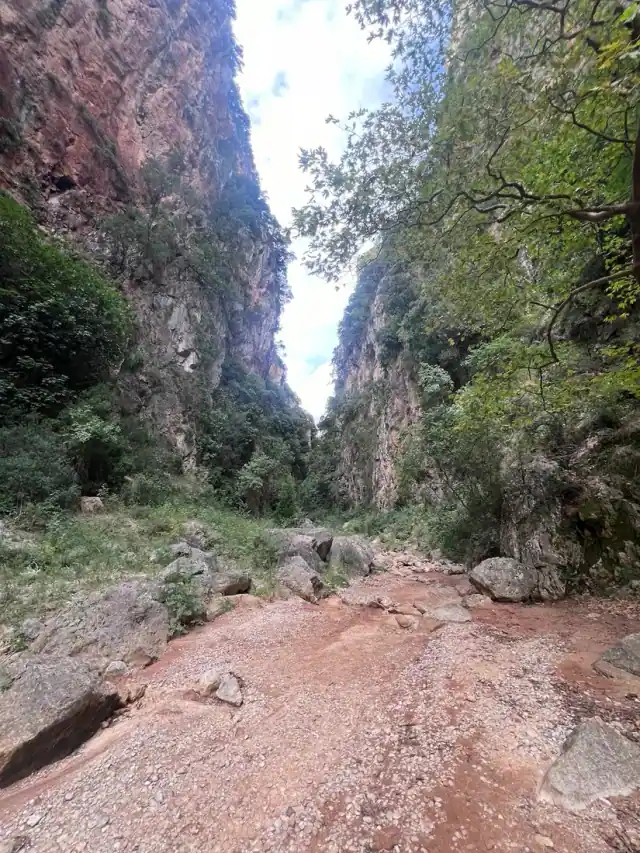Looking up the narrow floor of Gjipe Canyon toward the sky