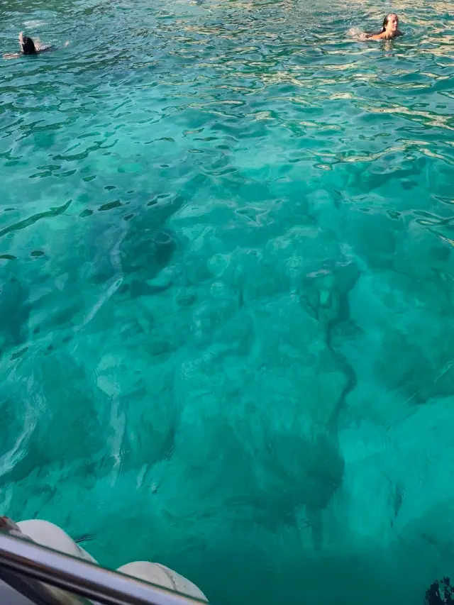 Clear turquoise water over the seabed at Soldier's Bay