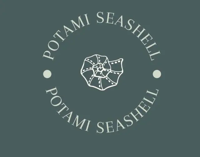 Potami Seashell — view 5