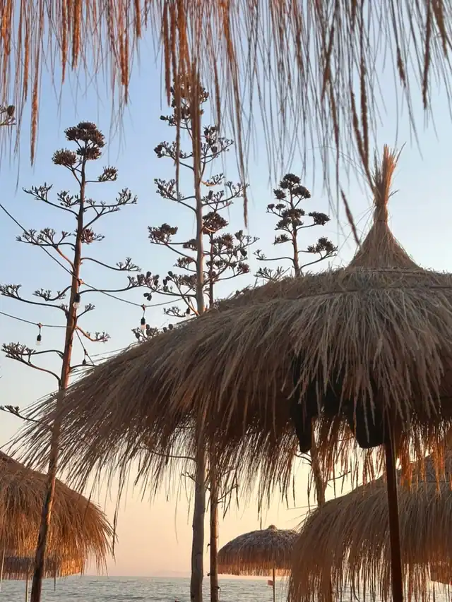 Straw parasols and tall agave flower stalks at Potam Beach at dusk, with a string of small lights running between them