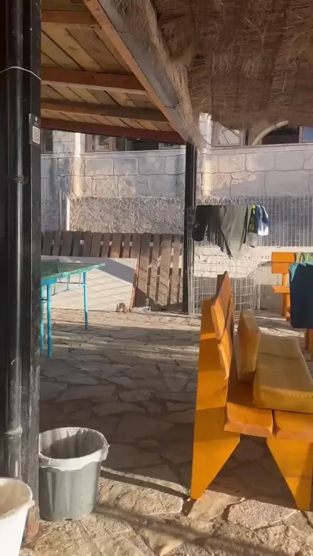 A table tennis table and orange painted benches on a stone patio under a reed roof