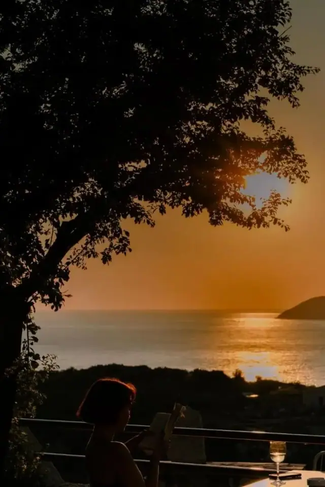 The setting sun seen through a broad-leaved canopy above the sea