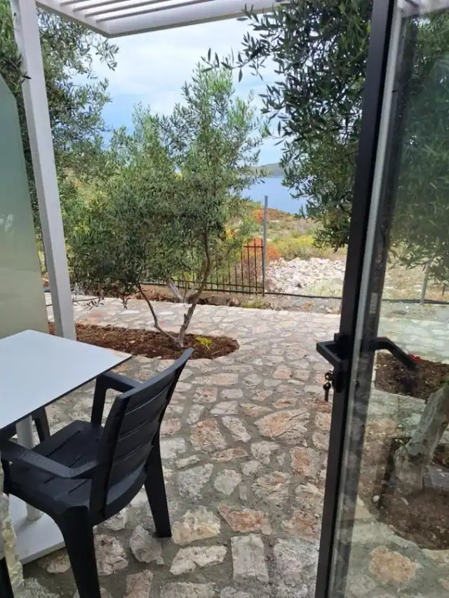 A stone-paved courtyard with a planted olive tree and a room door standing open onto it