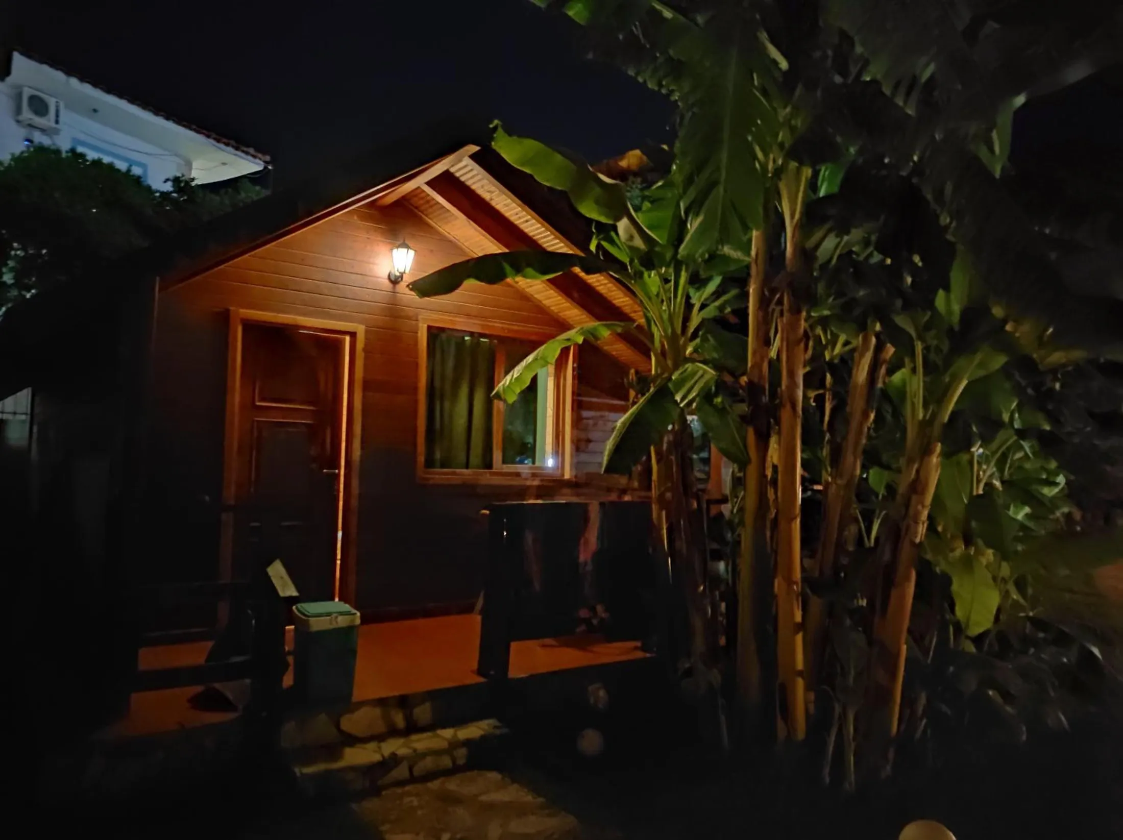 A small timber cabin at night, its porch lamp on, banana stems beside it