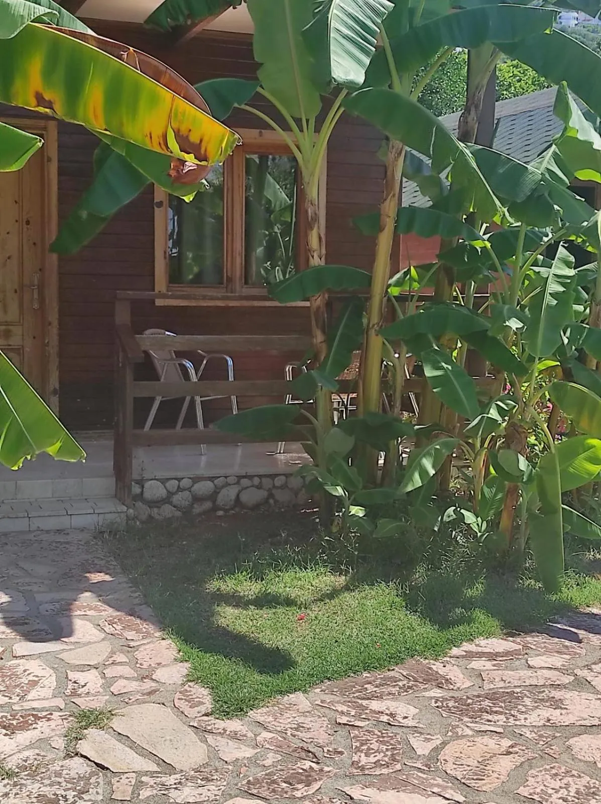 A bungalow porch with chairs on a stone plinth, banana plants growing up beside it