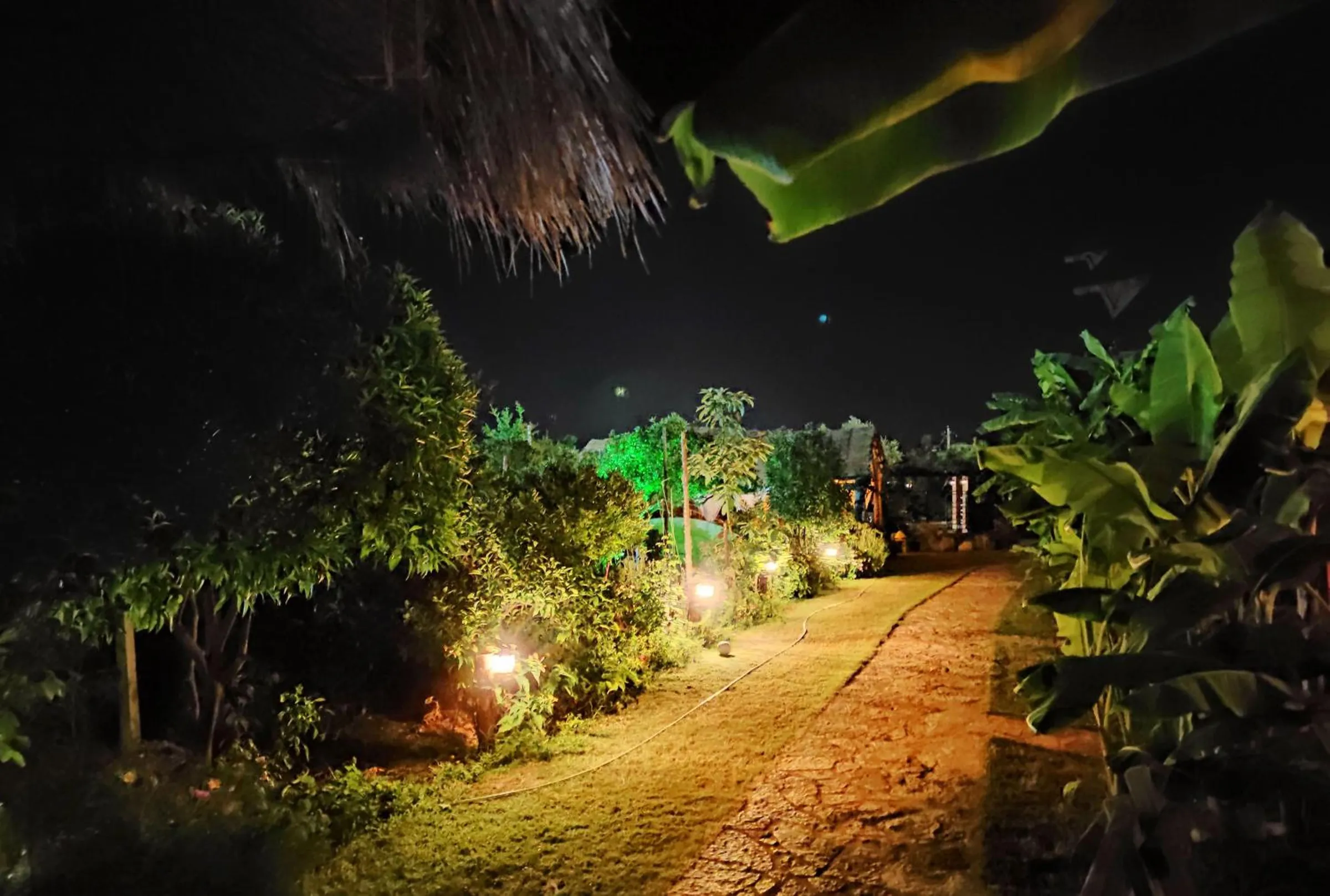 The garden at night from under the pavilion's thatch: a stone path, small lamps among the shrubs and a green-lit tree