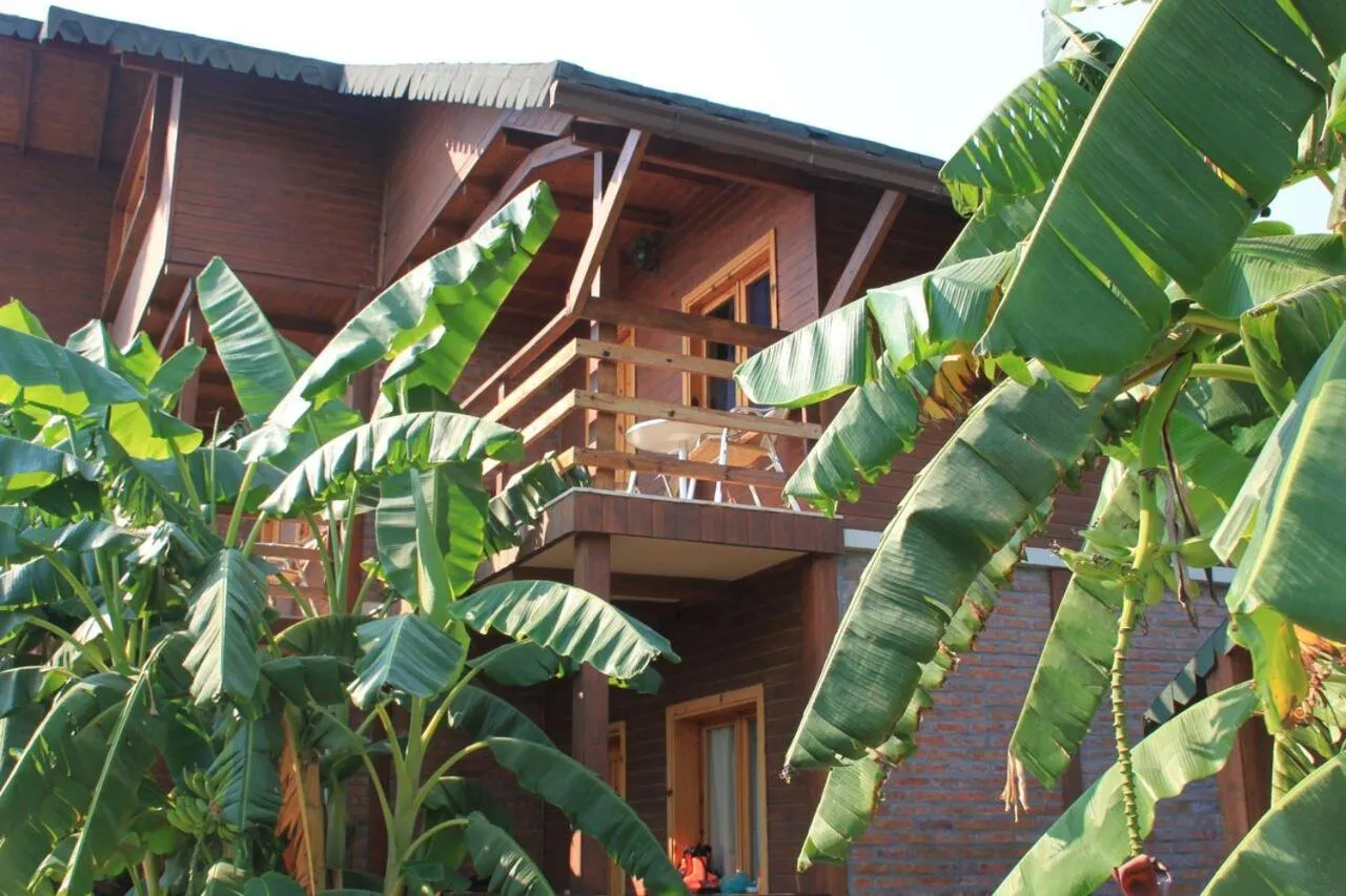 An upper timber balcony with a table and chairs among banana leaves, the porch of the room below it
