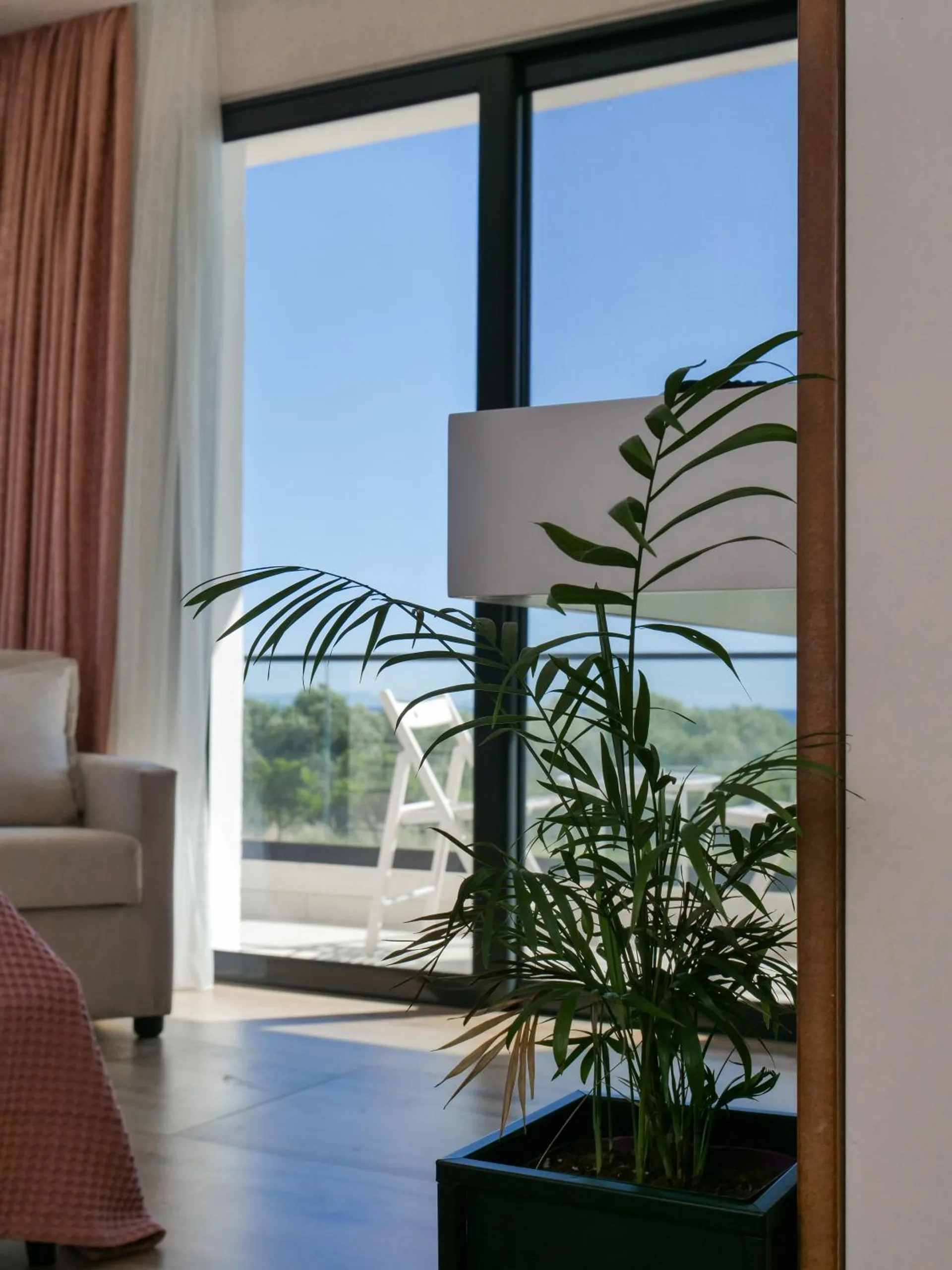 A palm in a black pot by the glass doors, rose curtains, and a terrace with green trees outside