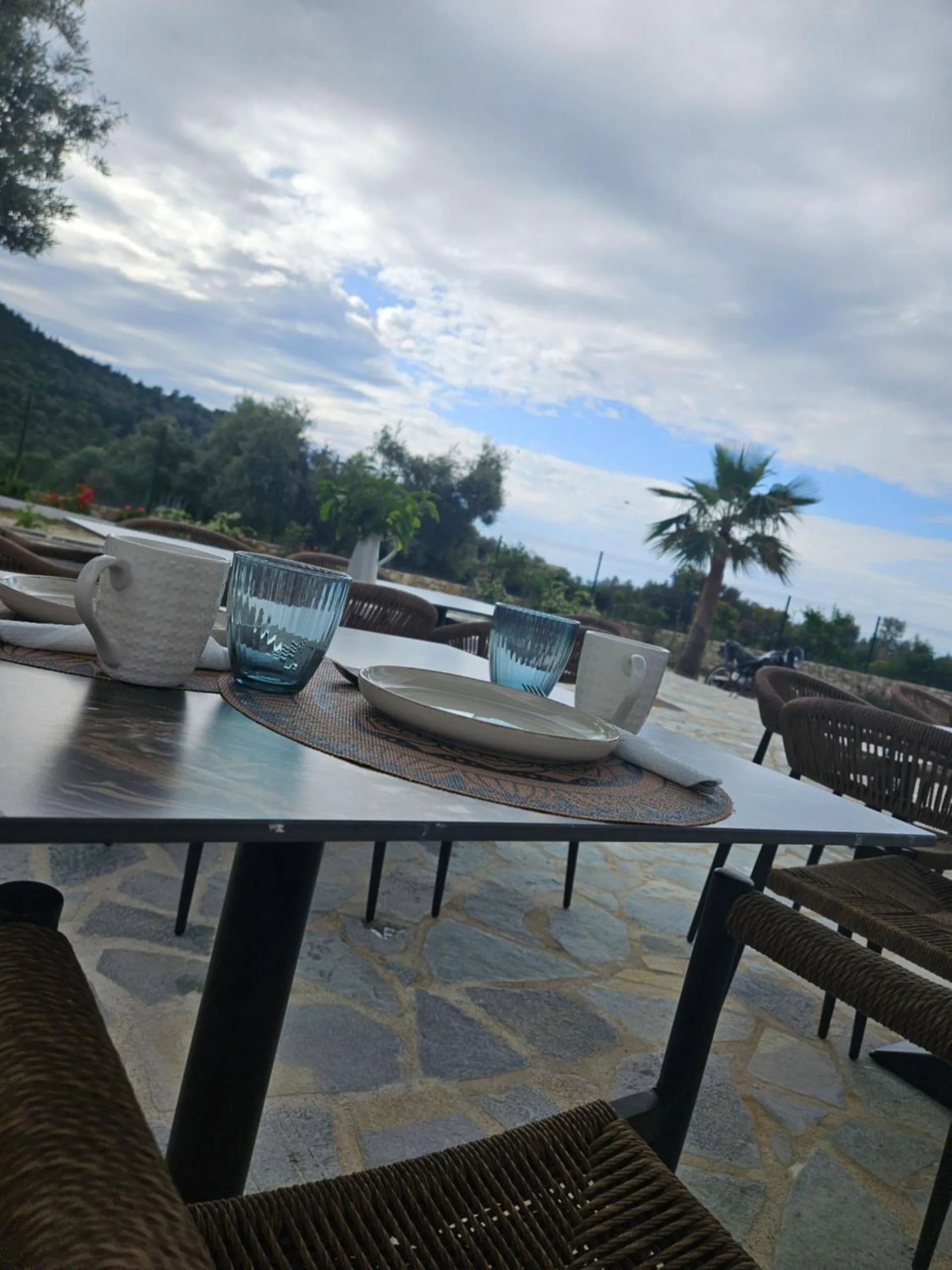 A table laid with cups and blue glasses on the stone terrace, a palm and the hills under a cloudy sky